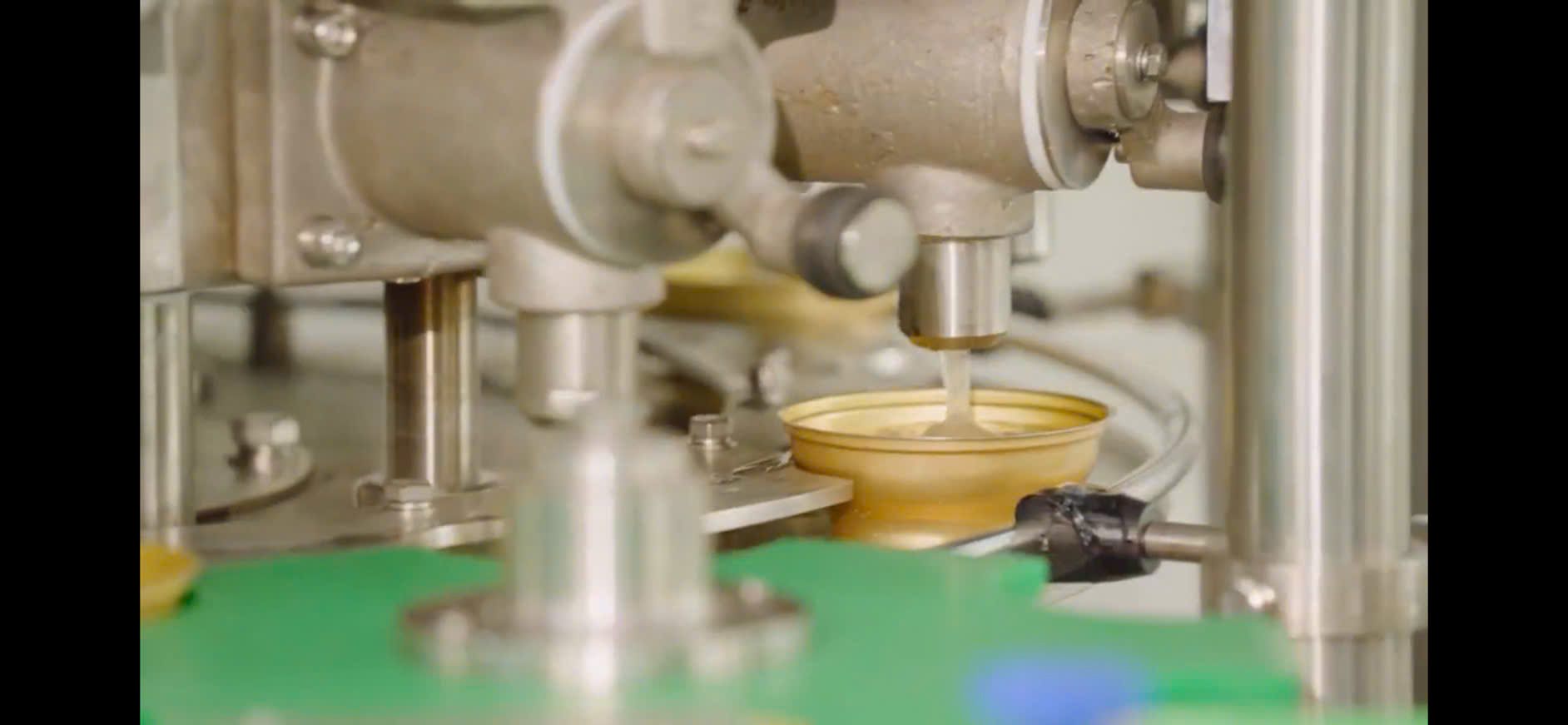 Tổ Yến Chưng - Ảnh 6