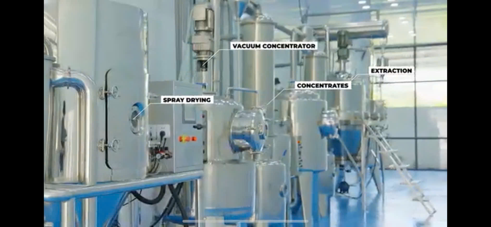 Tổ Yến Chưng - Ảnh 5