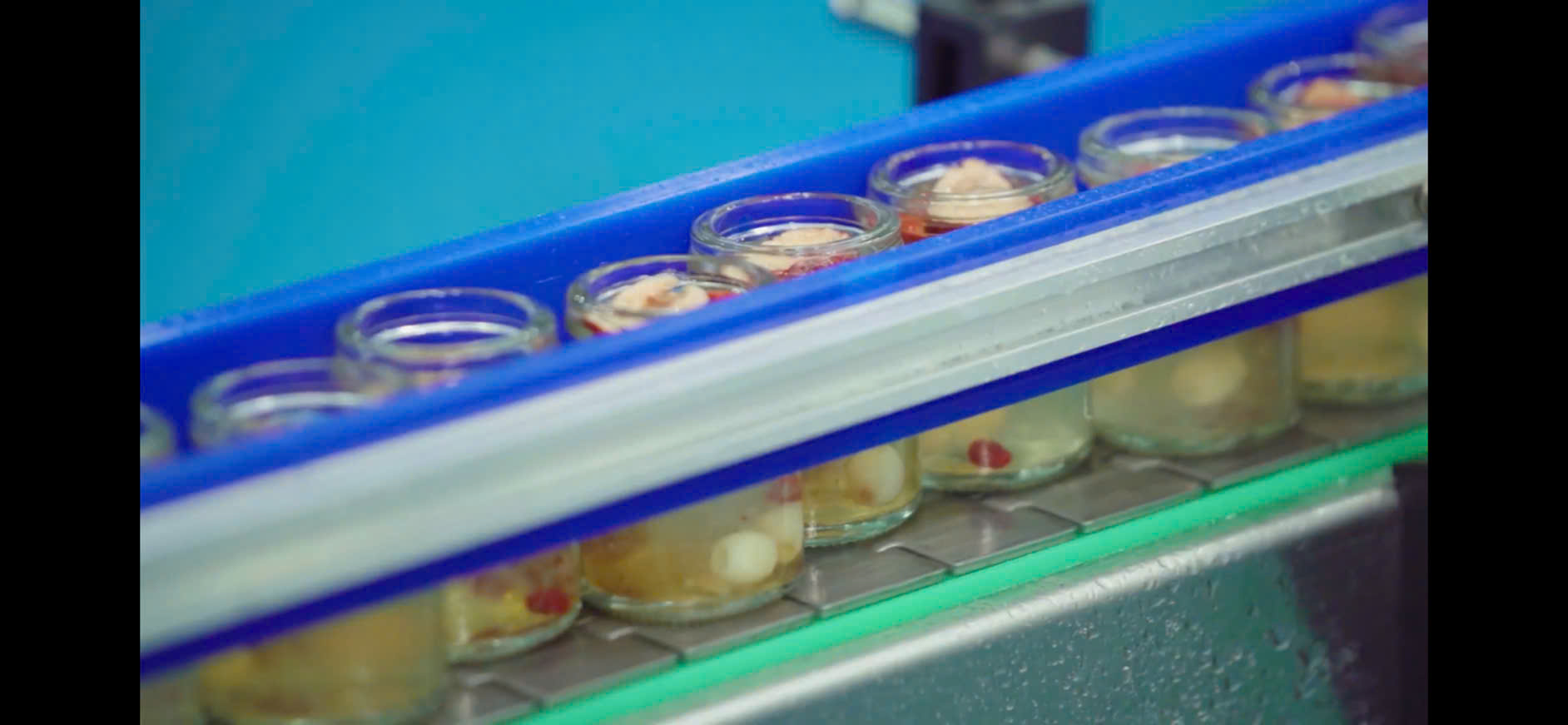 Tổ Yến Chưng - Ảnh 7